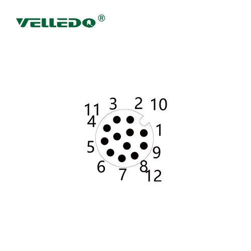 FLQ-M12-M12(PG9)-0.2  Монтажный разъем