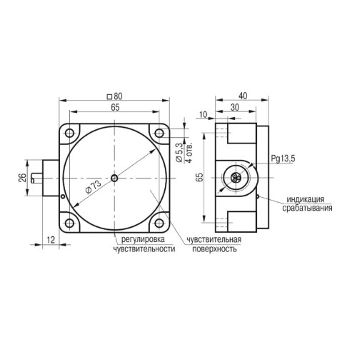 Датчик контроля положения груза ДКПГ-1710
